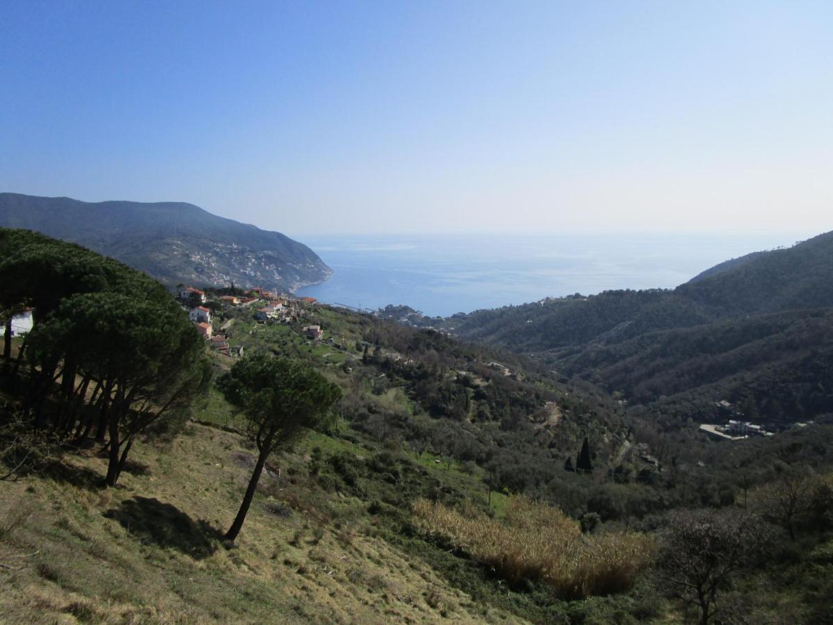 Cinque Terre & Portofino Lodge-Dependance Bracco Монелья Екстер'єр фото
