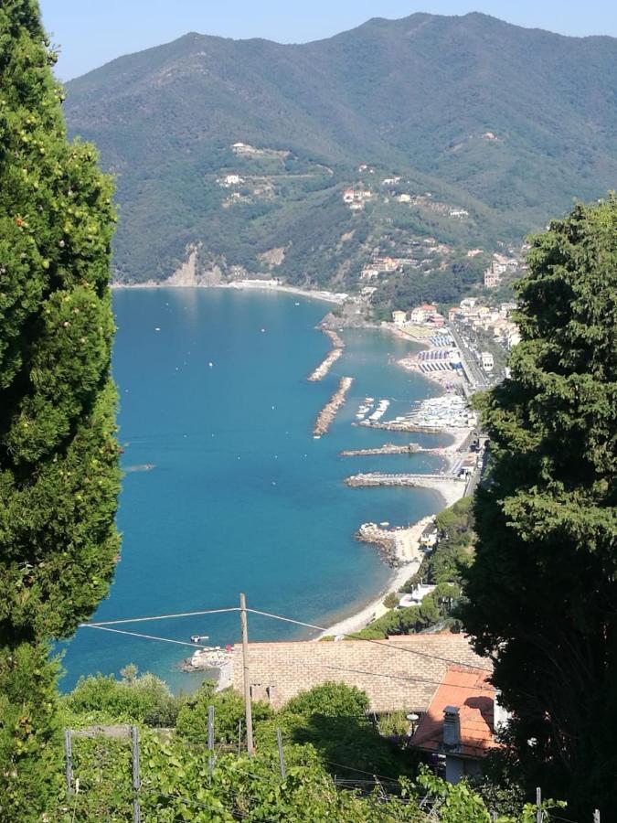 Cinque Terre & Portofino Lodge-Dependance Bracco Монелья Екстер'єр фото